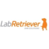 Labretriever Sleepemr