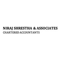 Niraj Shrestha & Associates logo - Similar company to Nepal Gas Udhyog