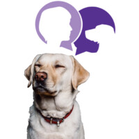 CANIDEA logo - Similar company to Fédération Française Des Associations De Chiens Guides D'Aveugles (Ffac)