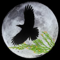 Crow Software LLC logo - Similar company to Nextira
