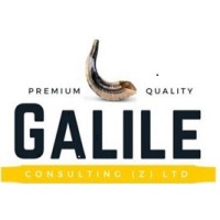 Galile Zambia LTD logo - Similar company to Zimbotech