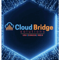 Cloud Bridge Solutions Inc logo - Similar company to Cloud First Computing, Llc