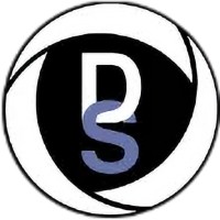 Data Synergy logo - Similar company to Datasynergy