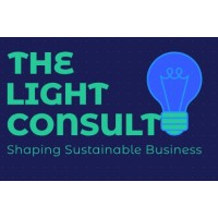 The Light Consults logo - Similar company to Techweiler Softwares