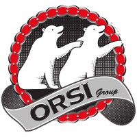 Orsi Group S.r.l. logo - Similar company to Nardi Group 1895