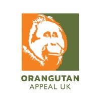 Orangutan Appeal Uk