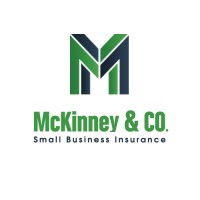 McKinney & Co logo - Similar company to Mighty Va