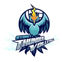 Sydney Thunder Volleyball logo - Similar company to Vector Partners