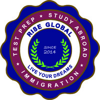 RISE Overseas | Immigration Consultants, India logo - Similar company to Thechaifi