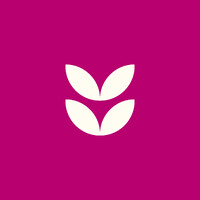 Fiore - Estratégia e Criação logo - Similar company to Dvg Design