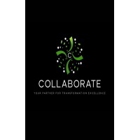 Collaborate Partner logo - Similar company to Brokerin Ltd
