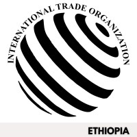 International Trade Organization Ethiopia logo - Similar company to Afcfta Youth Forum