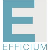 Efficium logo - Similar company to Lcgr Sa