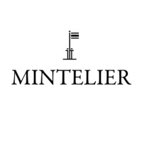 Mintelier Corporation logo - Similar company to Strivv Corp