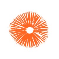 LONO logo - Similar company to Lono