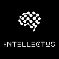 Intellectus Sverige logo - Similar company to Skymaker Ab