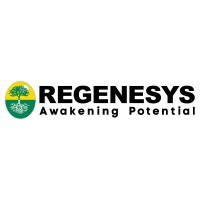 Regenesys Nigeria logo - Similar company to King Internet