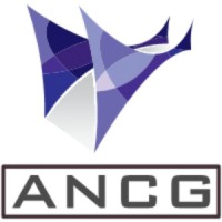 ANCG Group logo - Similar company to Wmtech