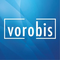 vorobis logo - Similar company to Ck-Tech