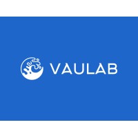 Vaulab logo - Similar company to Code Epic