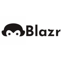 Blazr Llc