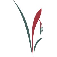 IBITI | Projeto logo - Similar company to Ypo Brasil