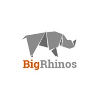 BigRhinos logo - Similar company to Lankabangla Information System