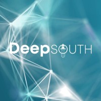 DeepSouth - L'ecosistema dell'innovazione del Mezzogiorno logo - Similar company to Torus Innovation Technologies