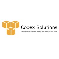 Codex Solutions logo - Similar company to Wise Business Technologies Ltd