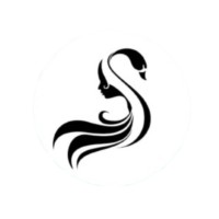 HanzaS logo - Similar company to Vihaas Design Technologies