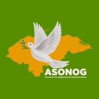 ASONOG logo - Similar company to First Rate Computing Services