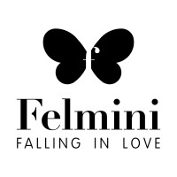 Felmini logo - Similar company to Nipe - Centre For Research In Economics And Management