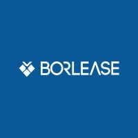 Borlease Filo Kiralama logo - Similar company to Elteg ● ელტეგი