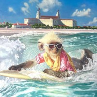 Reimaging Palm Beach