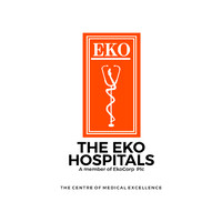 The Eko Hospitals logo - Similar company to Emi Foundation