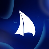 DGTL SAILOR logo - Similar company to Wowzr!
