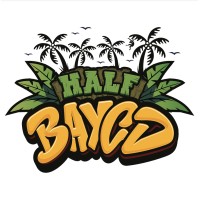 Half BAYCD logo - Similar company to Sansa