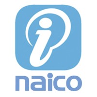 Naico ITS logo - Similar company to Techrish Solutions