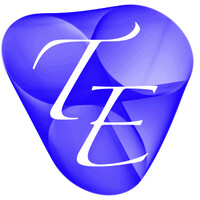 Tanwani Enterprises Private Limited logo - Similar company to Version.Vi