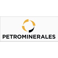 Petrominerales logo - Similar company to Discovery Computer