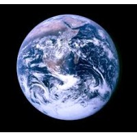 ANDROIDS & SHEEP - Walter Bouvais logo - Similar company to Nevidis