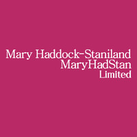 MaryHadStan Limited logo - Similar company to Game Dev Society