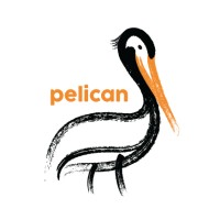 Pelican Care Group logo - Similar company to Positive Independence