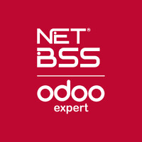 Netbss - Odoo expert - Software de Gestión ERP CRM logo - Similar company to Iconos Software Sl