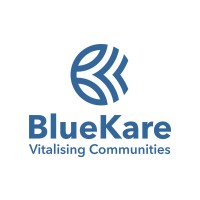 BlueKare Foundation logo - Similar company to Vision Unlimited