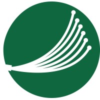 Pemiscot Dunklin Fiber logo - Similar company to Wave Internet Technologies
