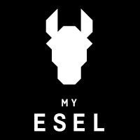 MY ESEL logo - Similar company to Fantic Bike
