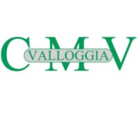 CMV DI VALLOGGIA S.R.L. logo - Similar company to Program