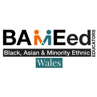 BAMEed Wales logo - Similar company to Dgna Consulting