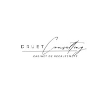 Druet Consulting logo - Similar company to Brain Formation - Excel Et Power Bi : Conseil, Formation Et Développement